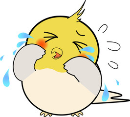 泣く可愛いオカメインコ