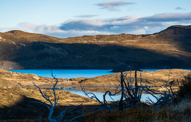 cerros entre lagos de color turquesa, arboles secos antiguos en estepa patagónica, lagos turquesa, paisaje turístico  