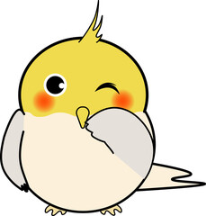 笑う可愛いオカメインコ
