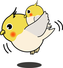 おんぶする可愛い親子のオカメインコ