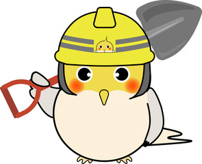 工事現場の可愛いオカメインコ