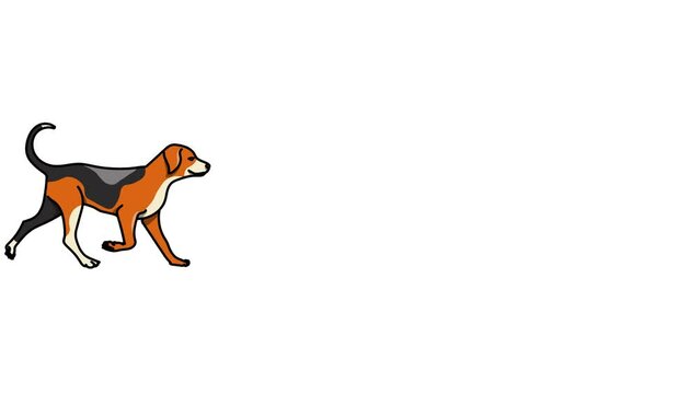 Dogs Sketch and 2d animated, animals 