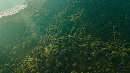 Fototapeta na wymiar Aerial drone view of tropical trees scenery at Besar Island or Pulau Besar in Mersing, Johor, Malaysia