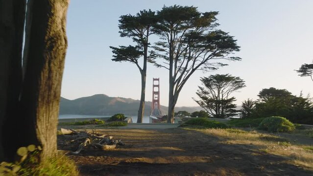 Cinematic drone dolly shot Golden Gate bridge at sunrise with zoom in effect. Drone flying straight forward between tall spruce trees with scenic nature landscape. Aerial San Francisco California USA