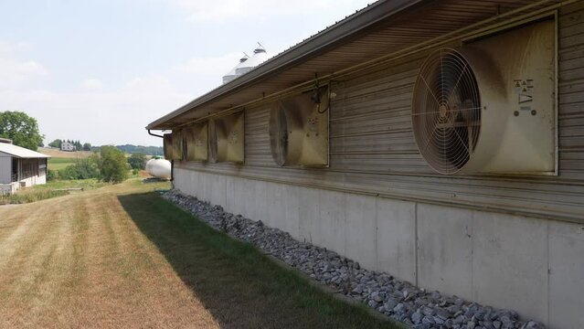 Exhaust fans for animal ventilation during hot summer. Factory farm operation in USA. Exterior outside view of barn.