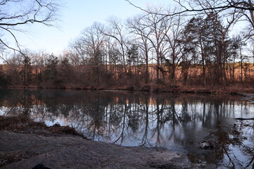 reflection of trees in the water