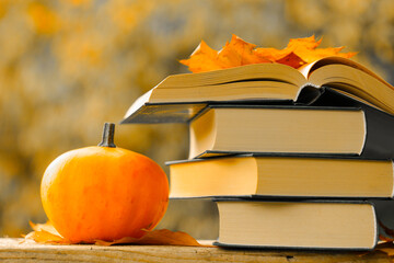 Halloween Books.Back to school.Autumn thematic reading. Books and pumpkins set in autumn garden...