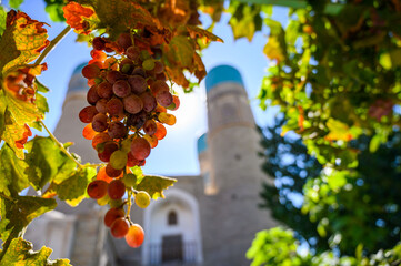 Grapes in the sun and Uzbek architecture