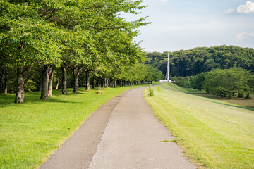 静かな公園の休日の景色