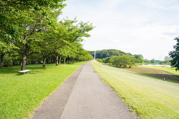 静かな公園の休日の風景