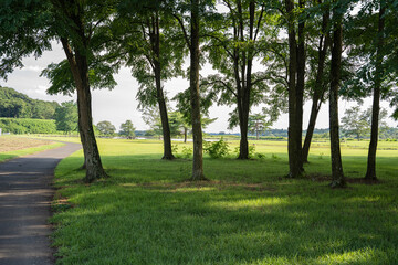 静かな公園の休日の景色
