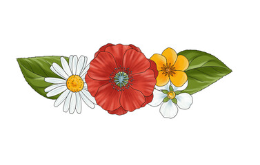 drawing floral compostion with flowers, bouquet at white background, decorative element, hand drawn illustration