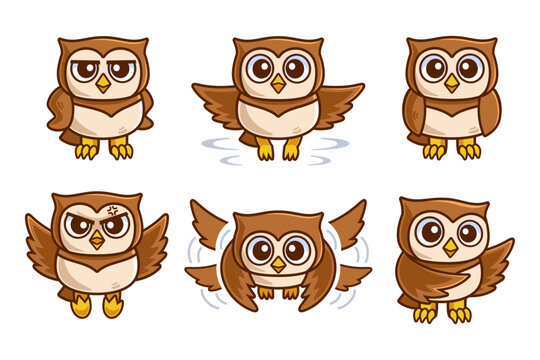 Collection of Owl Cartoon Character