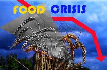 Problems with the supply of wheat and flour. Food supply crisis.