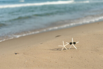 ビーチとサングラスのヒトデ