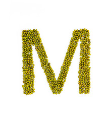 Capital letter M made from mung beans. Green mung bean font. Alphabet made from green gram . White background. Dry green maash seeds.