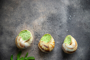 snails food green meal food snack diet on the table copy space food background 