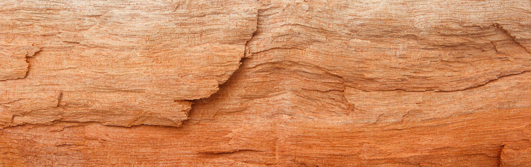 Beautiful dry wood surface for texture backgrounds.