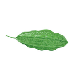 Bitter gourd 3d rendering isometric icon.
