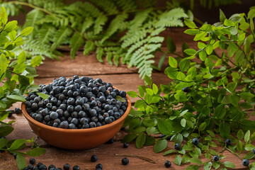 Fresh juicy wild blueberries in a bowl on a wooden background. Around the leaves of blueberries and ferns. Close-up.