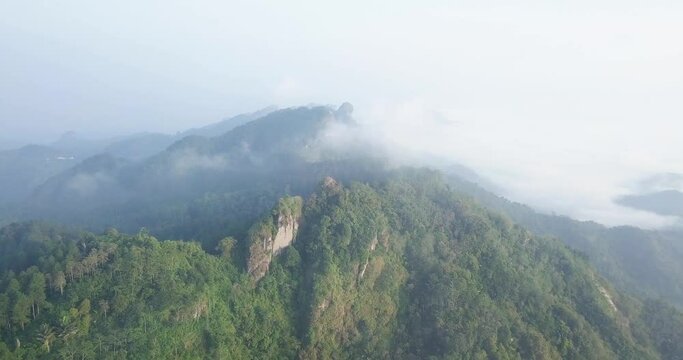 aerial view of forest and top of Menoreh Hill, Magelang, Indonesia. 4K stock nature videos. tropical jungle.