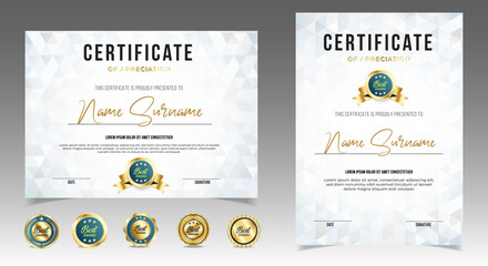 Professional diploma certificate template in premium style
