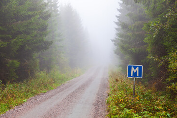 Foggy forest road with a meeting place road sign