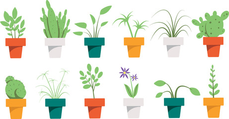 Houseplants in pots. Set of various home flowers, cacti, succulents.