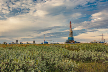 Obraz premium The summer landscape of the Arctic tundra against the background of infrastructure for drilling wells and oil and gas production. In the foreground is the vegetation of the northern nature