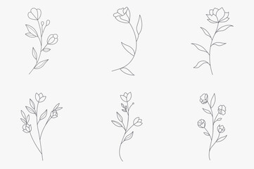 flower in hand drawn style. bloom and floral black and white. Illustration for the Valentine's day, wedding decor, logo and identity template.