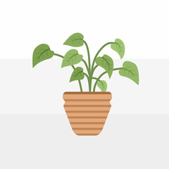 Obraz premium Plant pot design vector template