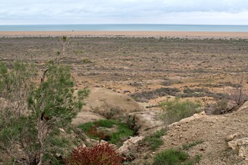 A view of the ecological disaster, the Dry Aral Sea, from the Ustyurt Plateau. Karakalpakstan. Uzbekistan
