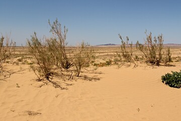 View of Kyzylkum desert near Ayaz Kala fortress. Karakalpakstan. Uzbekistan.