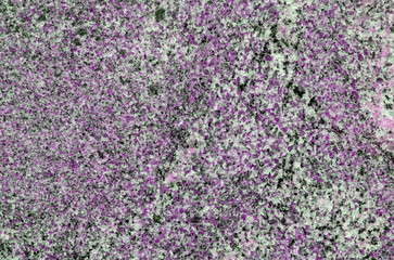 Natural stone texture, rock wallpaper, marble background wall