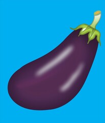 eggplant isolated on blue background