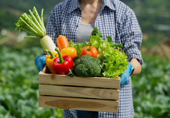 Organic farmer in a vegetable field holding a wooden box of beautiful freshly picked vegetables,...