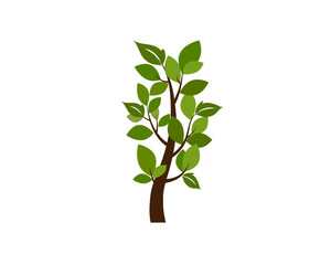 Tree icon. Nature, park. Vector image.