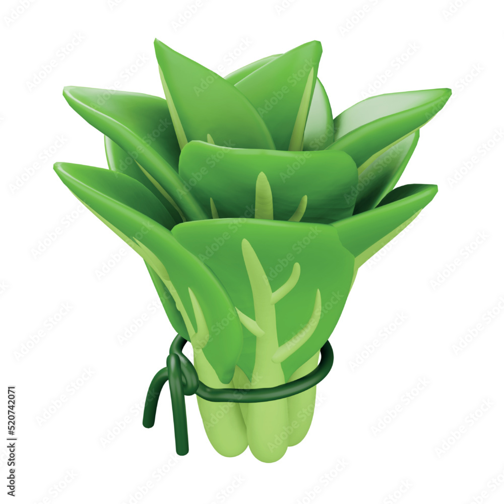 Aufkleber spinach 3d rendering isometric icon.