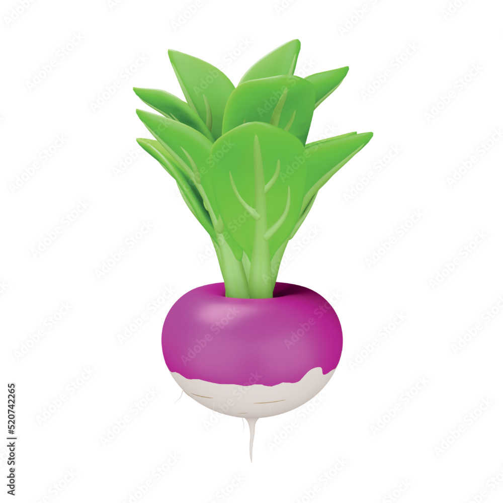 Poster turnip 3d rendering isometric icon.
