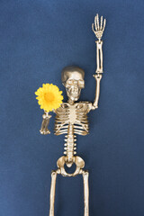 Funny Halloween concept. Golden skeletonholding yellow flower in his hands against dark gray background. Halloween celebration concept. Minimal style, vertical image