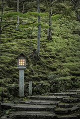 old lamp in the forest