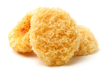 Tremella fuciformis on white background 