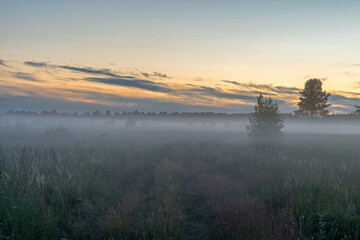 Evening fog in the field, Pskov region, Russia