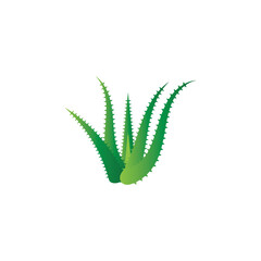 Aloe vera logo vector ilustration template