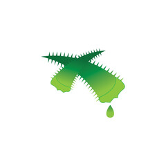 Aloe vera logo vector ilustration template