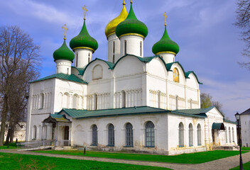 Fototapeta na wymiar The Transfiguration Cathedral of the Spaso-Evfimievsky Monaster
