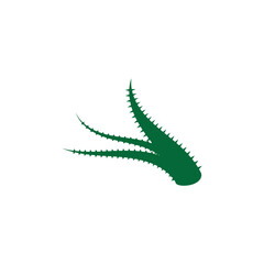 Aloe vera logo vector ilustration template