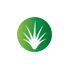 Aloe vera logo vector ilustration template