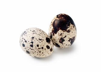 Quail eggs placed on a white background