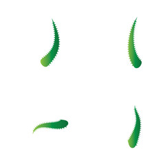 Aloe vera logo vector ilustration template